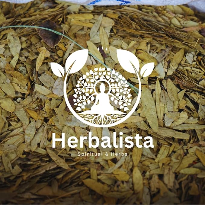 Herbalista - Viral 5oz (141g) Hoja Sen (Senna Leaf) Herbal Tea - Premium Hoja Entera Senna de Calidad | 100% All-Natural Loose Leaf| Non-GMO Mexican Herbal Tea Wildcrafted.