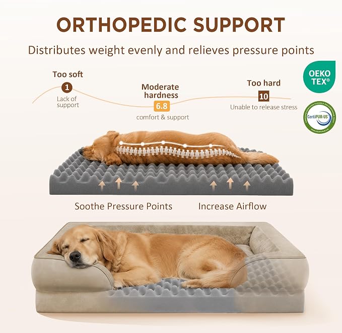 Comfort Expression Waterproof Orthopedic Dog Beds for Extra Large Dog | Supportive Egg Crate Foam X-Large Pet Bed with Removable Bolster, Dog Couch with Washable Cover & Non-Slip Bottom, 48x30 Inch