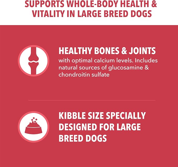 IAMS Proactive Health Large Breed Dry Dog Food, Lamb & Rice, 40 lb | Real Lamb #1 Ingredient, vet-recommended, Glucosamine & Chondroitin for bones & joints, supports strong muscles