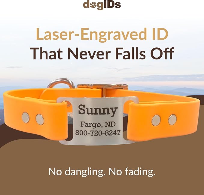 dogIDs Personalized Dog Collar – ScruffTag Custom Waterproof Biothane Dog Collar with Laser-Engraved Name, Durable & Odor-Resistant – USA Made | Creamsicle, 1 in x 18 in (Fits Neck Sizes 16-20 in)