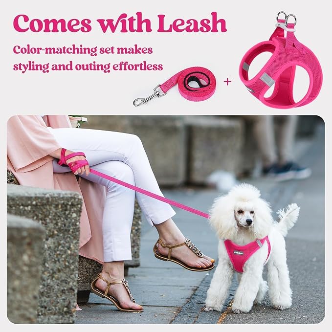 rabbitgoo Dog Harness Medium Sized and Leash Set, Step-in Puppy Pet Vest | Light, Soft, Breathable Air Mesh, Easy on and Remove with Hook & Loop, Secure Reflective for Walking, Rose Red L