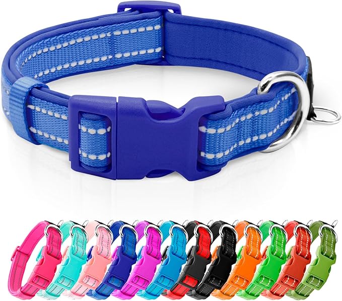 azuza Reflective Dog Collar, Neoprene Padded Small Dog Collar, Royal Blue S