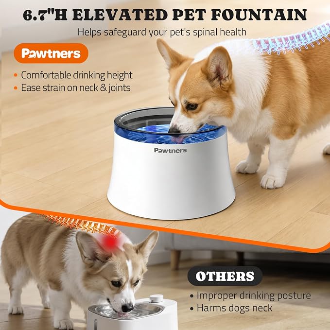 Pawtners 1 Gal/3.5L Dog Water Fountain, Automatic Dog Water Bowl Dispenser | Vortex Flow filter, Automatic Pet Water Fountain for Large Dogs Inside, Deep Drinking Area and Quiet Pump, 6.7" H