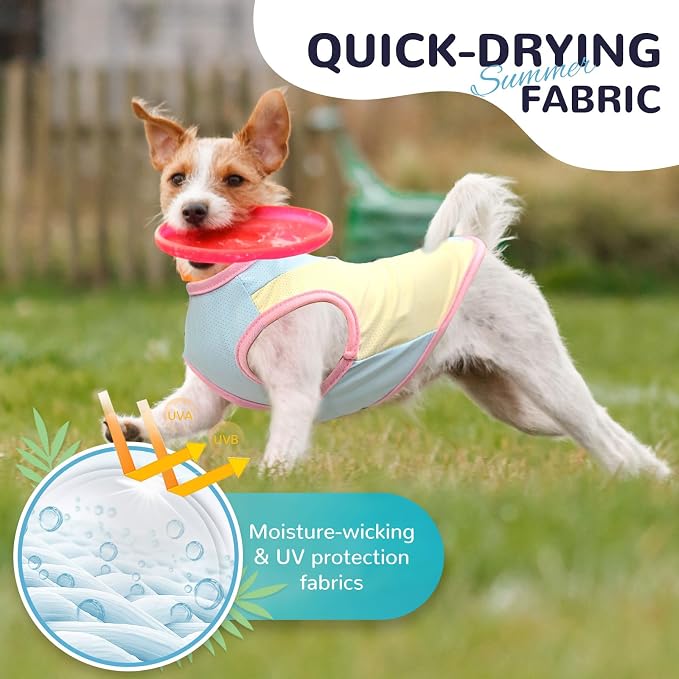 Dog Cooling Vest with D-Ring Dog Tshirt Sun Protection Small Puppy Clothes for Girls Boys Stretchy Shirts for Dogs Lightweight Breathable Shirt French Bulldog Frenchie Dachshund Clothes