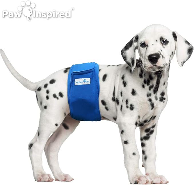 Paw Inspired Washable Male Dog Wraps, Assorted, Black Lining, Small, 3 Pack | S Size, Blue/Green/Brown Colors, Reusable Cloth Belly Bands for Potty Training, Marking, Incontinence, Travel, Surgery