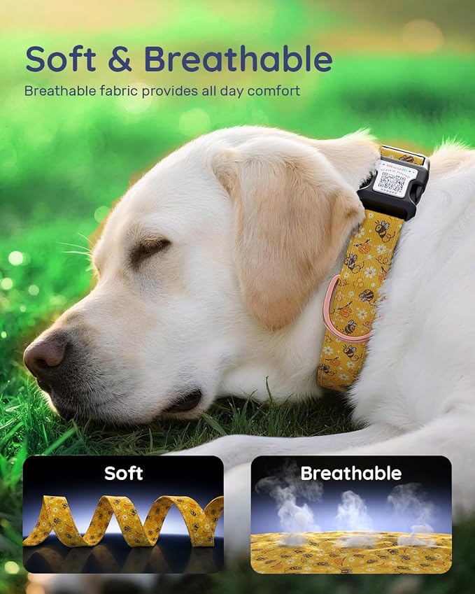 Dog Collar for Small Dogs with Smart QR Tags