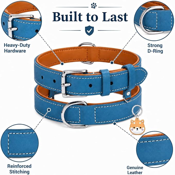 Genuine Leather Dog Collar, Soft Padded Leather Dog Collars with Airtag Holder Case for Small Medium Large X-Large Dogs,Comfort Heavy Duty Pet Collar with Durable Metal Buckle & D-Ring-Sky Blue/L