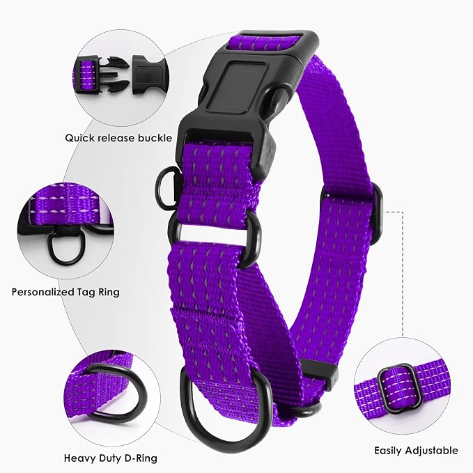 Martingale Dog Collar, Reflective No Pull with Buckle,Purple, XS