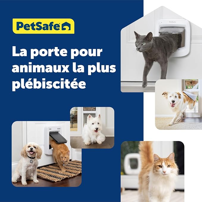 PetSafe Microchip Cat Door, Interior/Exterior, Multi-Pet, 4-Way Lock | 4-Way Lock (Locked/Unlocked/Enter/Exit Only), Reads Pet Microchip ID, Magnetic Latches Block Drafts