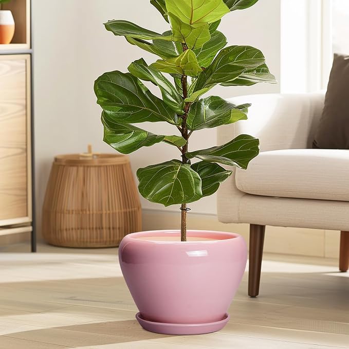 Ceramicfor Ceramic Modern Glaze Succulent Planter Pot with Drainage Hole and Saucer 8 Inch Round Flower Plant Pot for Indoor Outdoor Herb Snake Plants, Pink