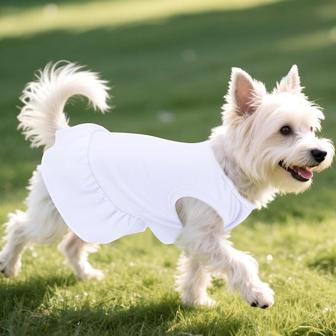 2 Pcs Dog Dresses Cat Skirt Solid Color Dog Clothes Summer Sleeveless Puppy Girl Clothes for Small Pet Dogs Cats (White,Blue, Large)