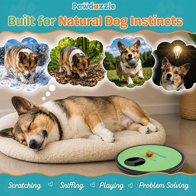 Adjustable Dog Nail Scratch Board with Treat Box – Interactive Dog Nail File Scratch Pad | Built-in Treat Dispenser | Non-Slip | Stress-Free Nail Care for Dogs