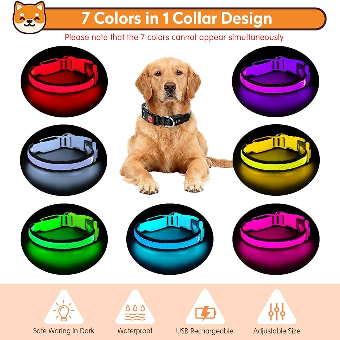 LED Dog Collar, Light Up Dog Collar,for Night Walking(Medium,Black)