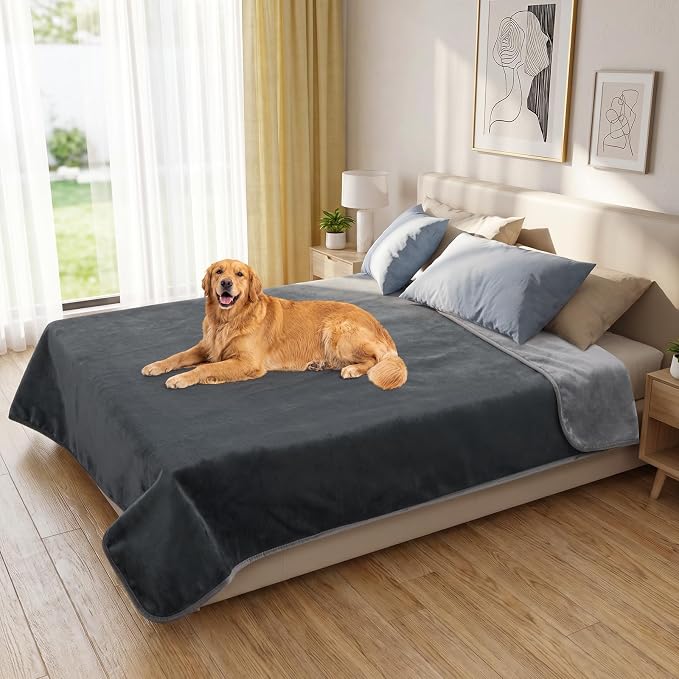 Waterproof Blanket for Queen Bed, Couch, and Sofa, 80"x90", Grey | Reversible Soft Flannel Throw, Furniture Protector, Spill-Proof, for Family, Dog, Cat, Camping, Travel, Noise Free