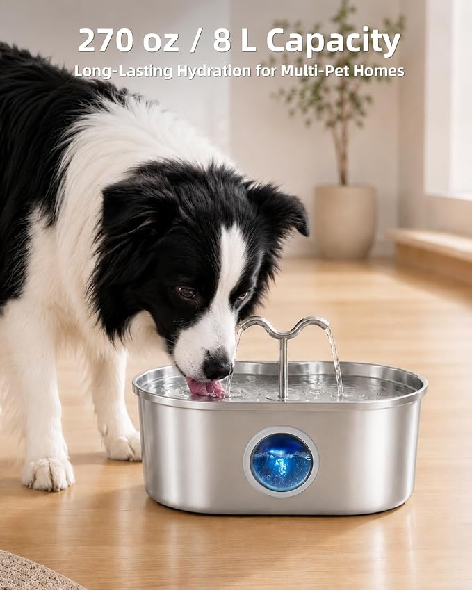 8L/270oz/2Gallon Stainless Steel Dog Water Fountain Pet Fountain | Automatic Pet Water Dispenser - Self-Designed Filtration System - Ultra-Quiet Pump - Easy Cleaning & Maintenance (6 Filters)