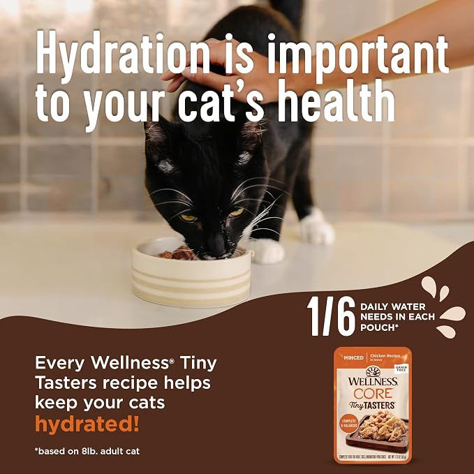 Wellness CORE Tiny Tasters All Forms Variety Pack Adult Wet Cat Food, Natural, Protein Rich, Grain Free, Poultry and Seafood Recipes, 1.75 oz, Pack of 12 Pouches