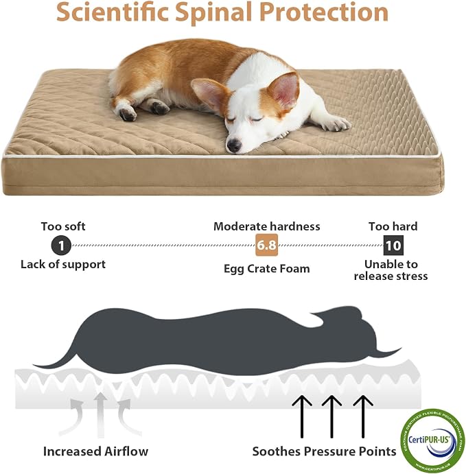 WNPETHOME Orthopedic Waterproof Extra Large Senior Dogs Bed for Comfy Sleep | XL Washable Ped Bed with Removable Cover, Multi-Needle Quilting XL Crate Bed for Large Sized Dog Relax, Brown 42x30 Inch