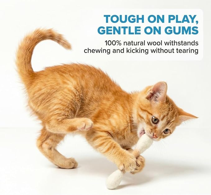 Glaciart One MINI Swabs Cat Toys with Catnip - 6 Pk | Durable for Chew, Cute Cat Toys Interactive Kitty for Boredom, Exercise, & Play | Filled w/Organic Catnip for Anxiety & as Digestive Aid