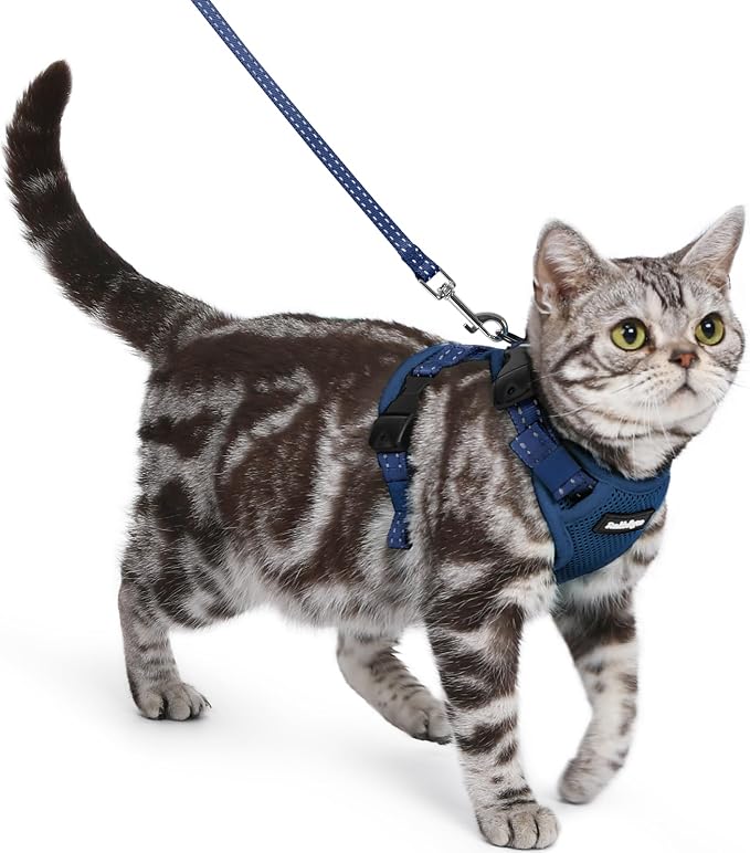 rabbitgoo Cat Harness and Leash Set, Easy-on with Neck Buckle, Navy Blue