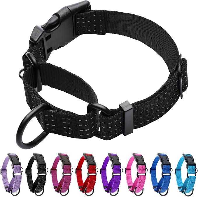 Martingale Dog Collar, Reflective No Pull with Buckle, Black, S