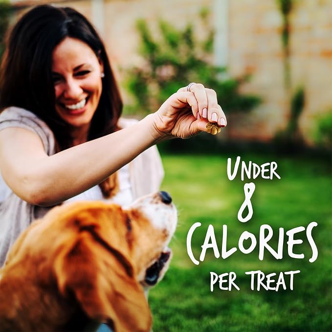 Fruitables Baked Dog Treats, Healthy Pumpkin Treat for Dogs, Low Calorie & Delicious, Free of Wheat, Corn and Soy, Made in the USA, Apple and Crispy Bacon Flavor, 12oz (Pack of 2)