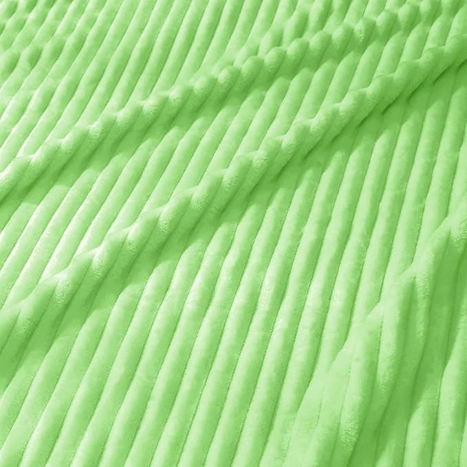 Vessia Flannel Fleece Throw Blanket (50X70 inch), 300GSM Lightweight Light Green Blanket for Couch, Sofa and Bed - Warm and Soft Green Throw for All Season