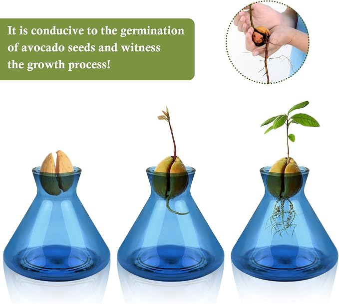 1 PCS Avocado Seed Starter Vases, Avocado Tree Growing Kit Acorn Bulb Vase Grow Glass Avocados Pit Planter Pot Blue Hydroponics Container for Gardening Lover