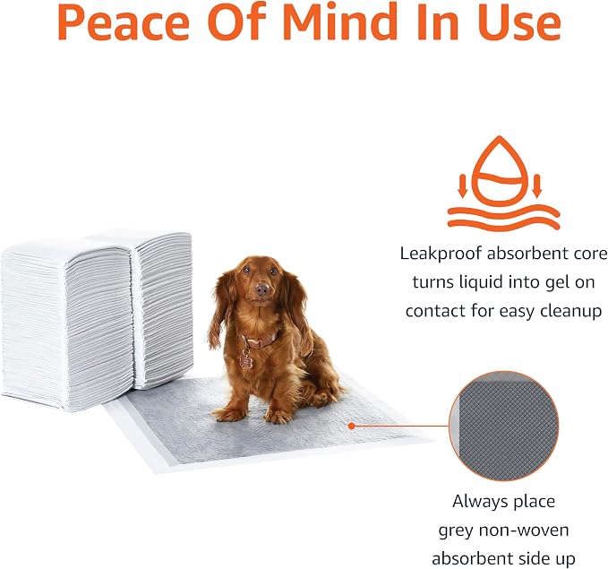 Amazon Basics Carbon Odor Control Dog and Puppy Pee Pads, 5-Layer Leak-Proof Super Absorbent, Quick-Dry Surface for Potty Training, Regular Size 22"x22", Gray, 120 Count