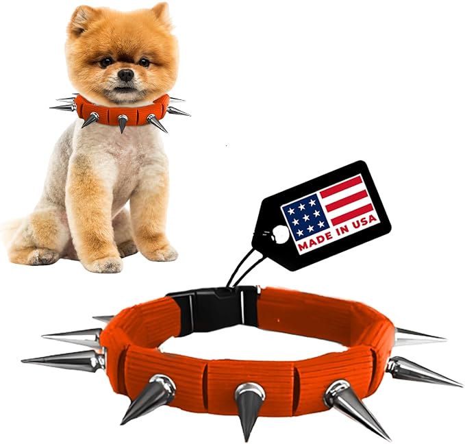 CoyoteCollar Spike Dog Collar, Adj/Replaceable Spikes, Small, Orange