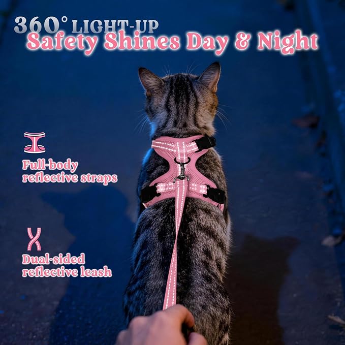 rabbitgoo Cat Harness and Leash, Easy-on with Neck Buckle, Pink