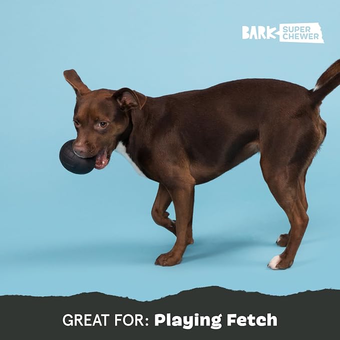 BarkBox Super Chewer Tough Dog Chew Toys - Large
