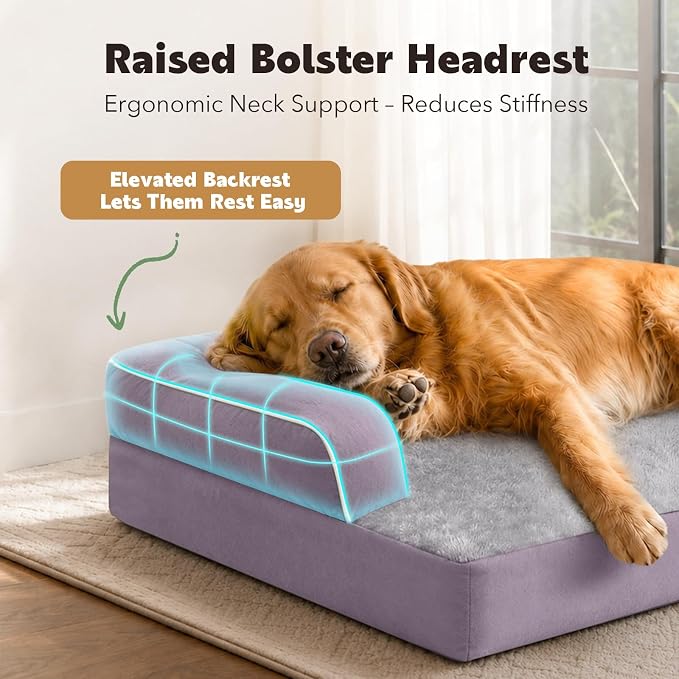 Orthopedic XL Dog Bed with Bolster for Extra Large Size Dogs | Pillow Support for Neck Relief, Egg Crate Foam, Skin-Friendly Surface, Waterproof Liner, Anti-Slip Bottom, 42 x 30 Inch