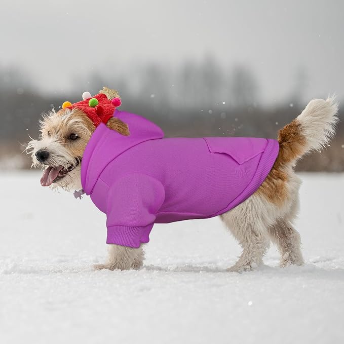 Dog Hoodie Dog Sweaters for Small Dogs,Pet Sweater Solid Soft Brushed Fleece Pet Clothes Hoodie Sweatshirt with Pocket(Purple-XS)