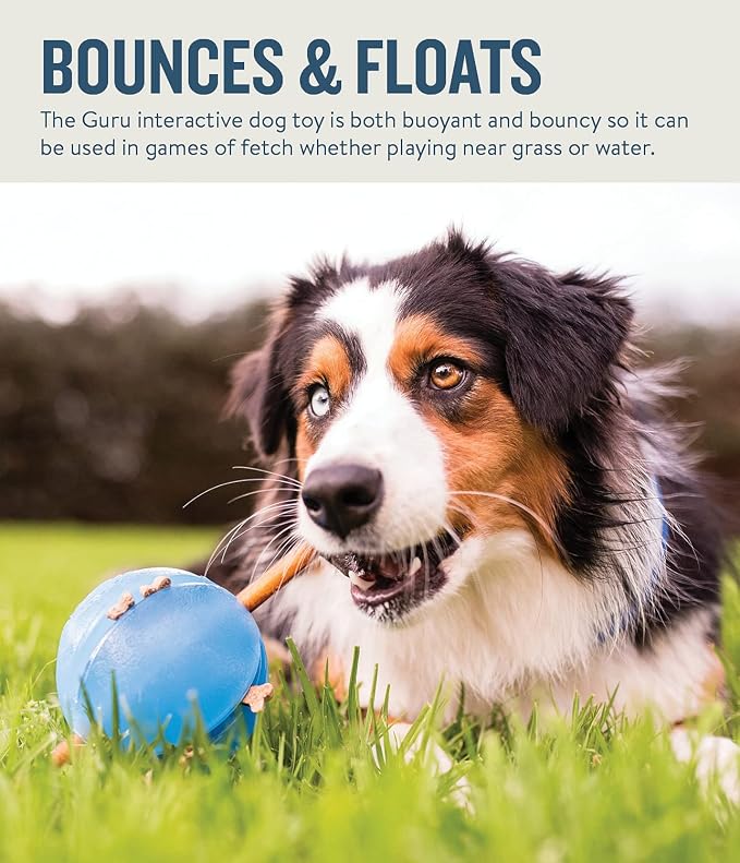 Outward Hound Guru Treat-Dispensing Puzzle Ball Dog Toy, Blue