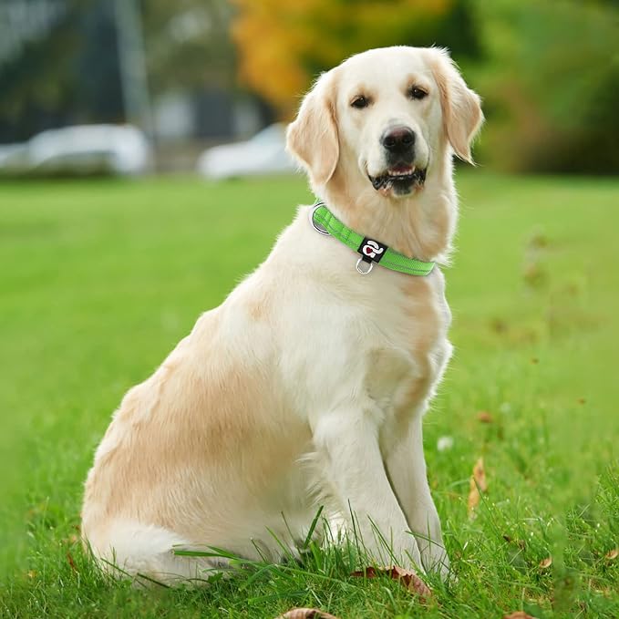 azuza Reflective Dog Collar, Neoprene Padded Large Dog Collar, Green, L