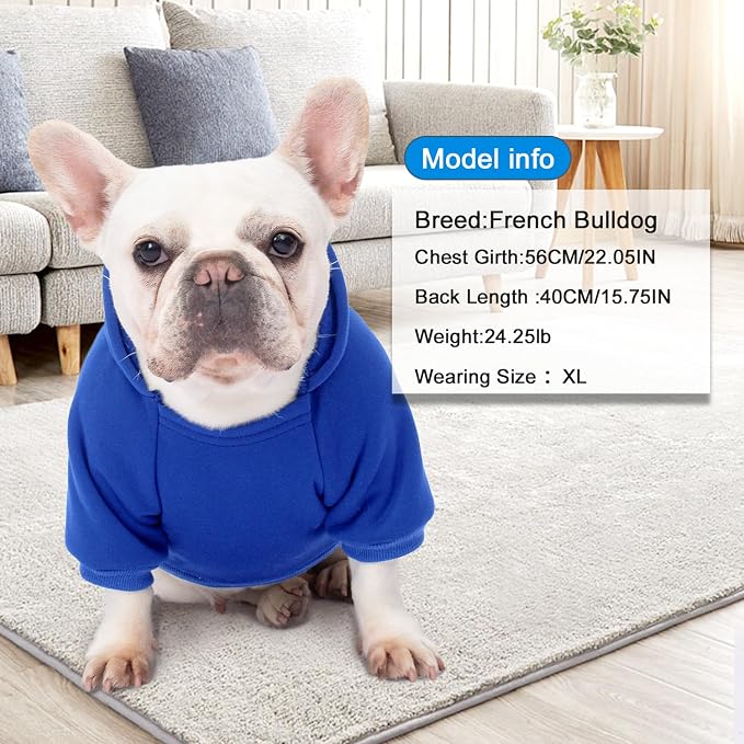 1 Pack Dog Hoodie Warm Hood Dog Sweater Cold Weather Small Dogs Sweatshirt Comfort Pet Clothes for Small Medium Dogs with Pockets Cats Chihuahua Clothes for Male Female Girl Boy Sporty Daily Wear