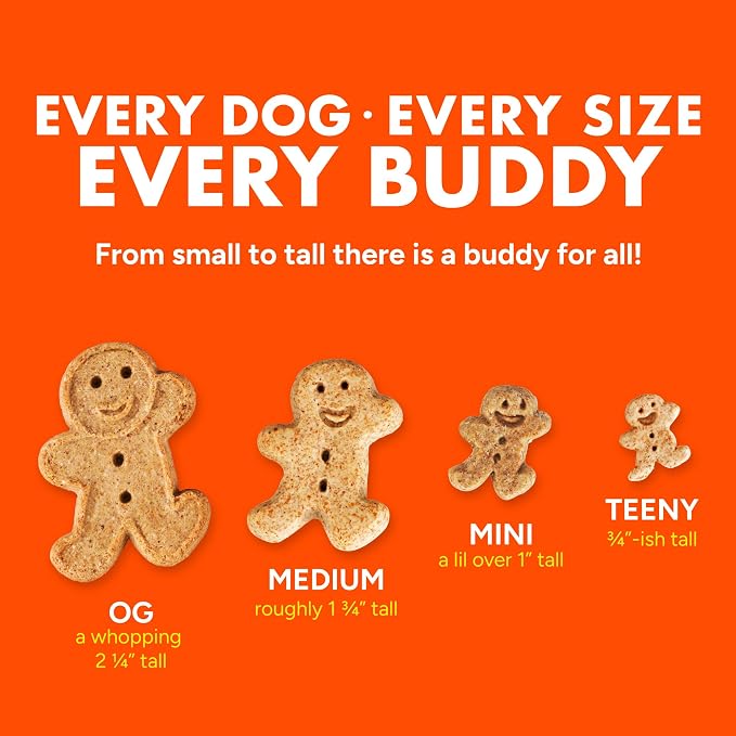 Buddy Biscuits Grain Free Dog Treats, Large Size Treat, Peanut Butter | Grain Free, Large Size Treat, Natural Peanut Butter, Simple Ingredients, Baked in the USA, 14 Oz.