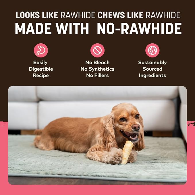 Earth Animal No Hide Dog Chews - Rawhide Free Small Rolls 2 Count Salmon | Small Rolls Salmon Flavored Natural Rawhide Free Long Lasting Dog Chews - Pet Treats for Small Dogs