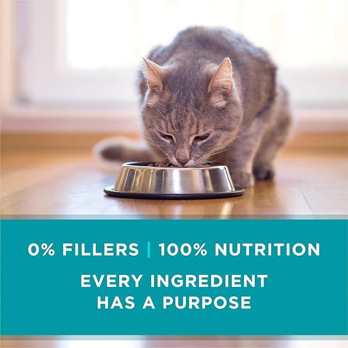 Purina ONE Grain Free,Natural Pate Wet Cat Food Variety Pack,Beef,Chicken and Ocean Whitefish Recipes - 3 oz. Pull-Top Cans,(Pack of 48)