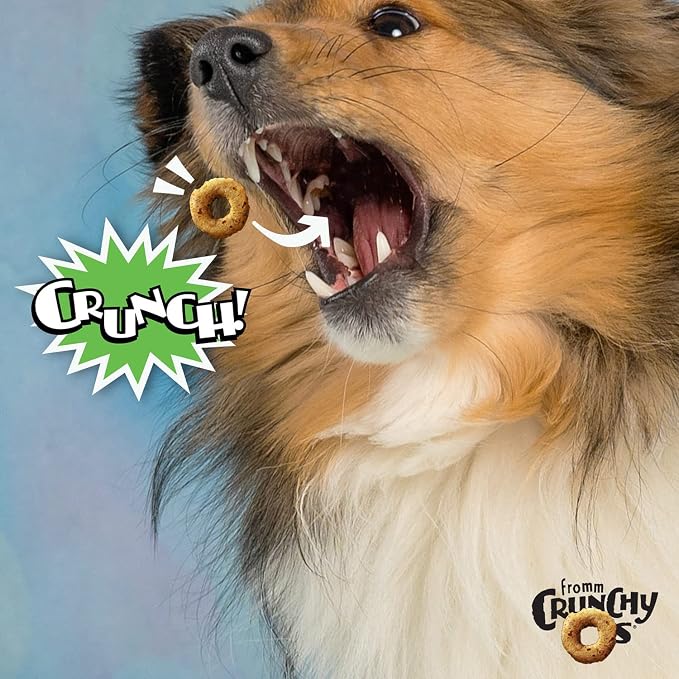 Fromm Crunchy Os Pumpkin Kran Pow Dog Treats - (3) 6 oz Bags