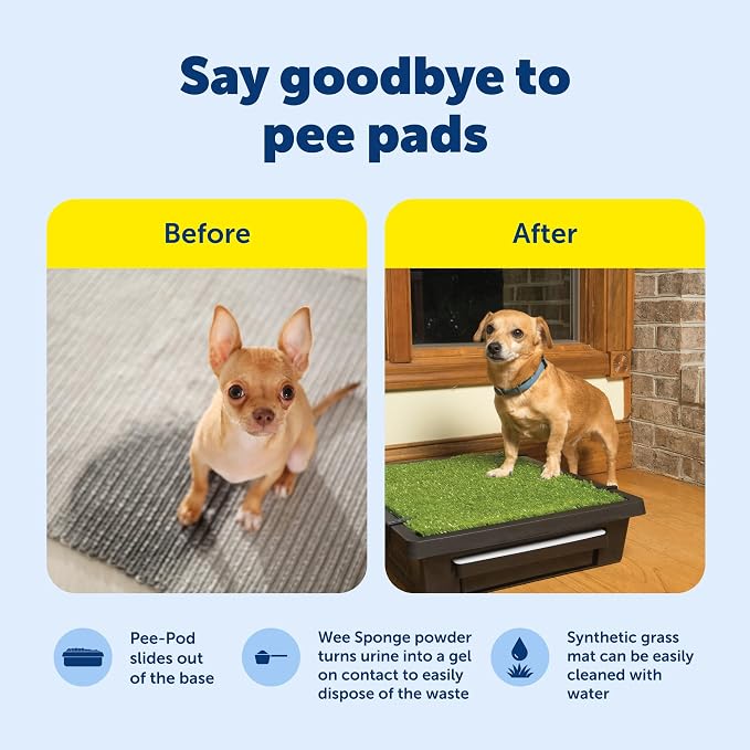 PetSafe Pet Loo Portable Dog Potty, Medium | Gass Mat Toilet Alternative for Puppy Pads, Perfect for House Training and Small Spaces, Less Odor and Conveneint Clean-Up