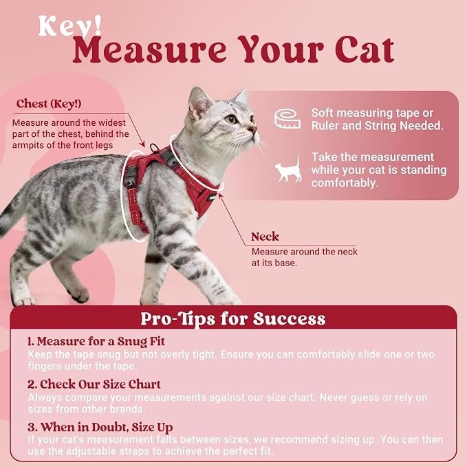 rabbitgoo Cat Harness and Leash, Easy-on with Neck Buckle, Red