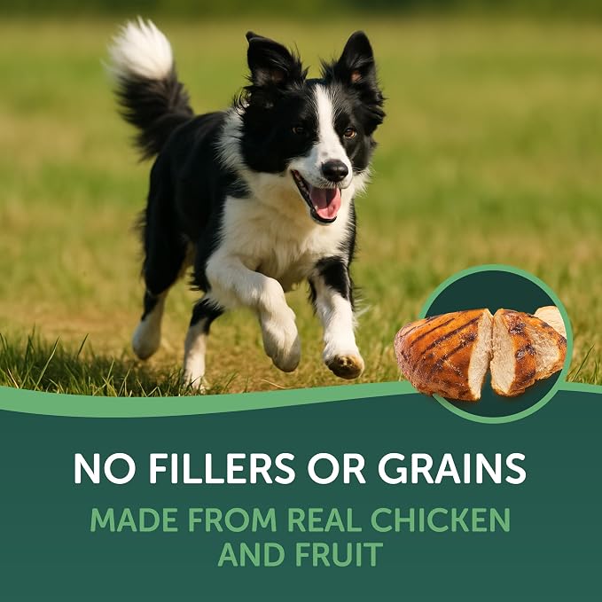 Healthfuls Chicken Wrapped Fruit Dog Treats, 16oz | Dried Apple, Kiwi, & Banana, Real Chicken Breast, Rich In Antioxidants, No Artificial Colors, Training Treat, For All Breeds