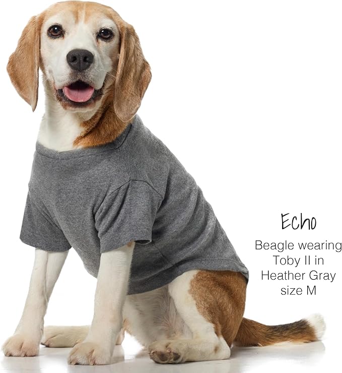 Pet Passion Toby II Dog T-Shirt, 3 Pack, Gray Ombre, Small | GOTS-certified organic cotton short-sleeve tee. Breathable, soft & sustainable for everyday wear.