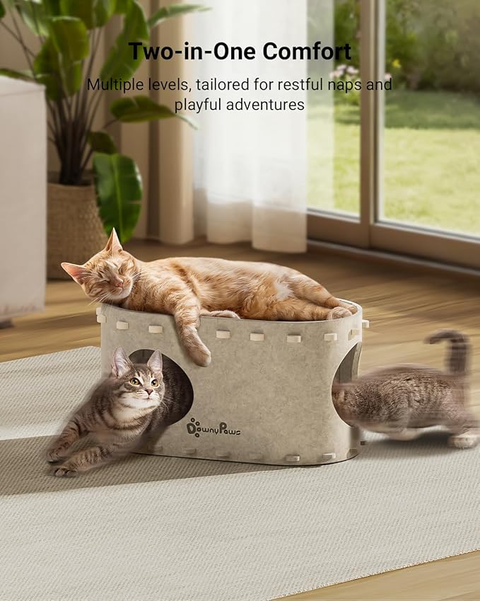 DownyPaws Cat House for Indoor Cats, Peekaboo Cat Bed Cave, Cream | Cat Hideaway Enclosed Bed,Cave Hideout Fort,Kitten Cube Castle Hut Tunnel for Cats,Hide Box Bed for Large Cat Up to 22 Lbs