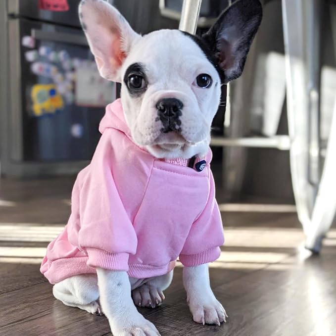 Soft Dog Hoodies for Small Dogs, Warm Fleece Puppy Clothes with Pocket | Jecikelon cold weather coat, cute puppy costume, breathable sweatshirt for dogs girl & boy, machine washable, easy on & off