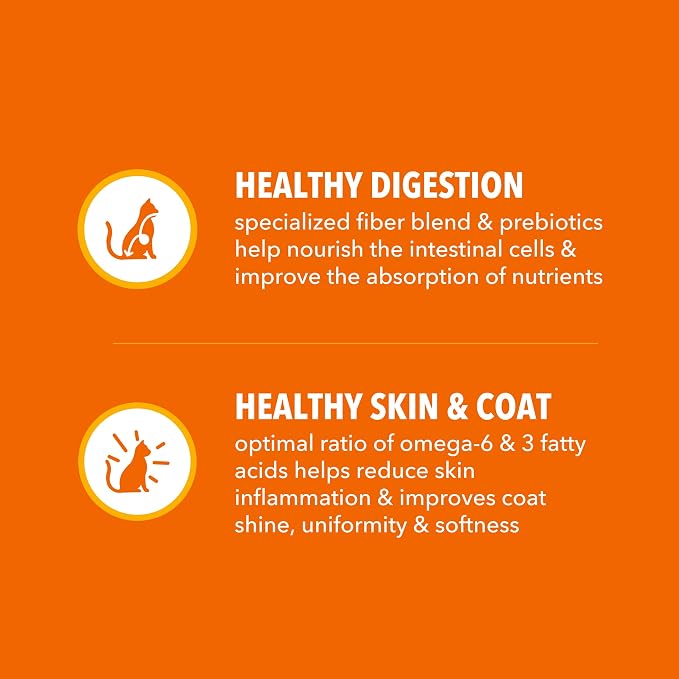 IAMS Proactive Health Healthy Adult Dry Cat Food, Chicken, 22 lb | Veterinarian-recommended, Real chicken #1 ingredient, chicken & egg protein, wholesome grains for energy, supports muscles