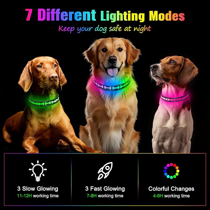 Flashseen LED Dog Collar Light up USB Rechargeable, 7-Color Glow, Grey, L