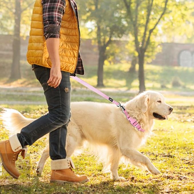 azuza Nylon Dog Collar and Leash Set, Strong & Durable Basic Style Leash and Collar with ID Tag Ring, Available in Multiple Lengths for Small Dogs, Pink,S