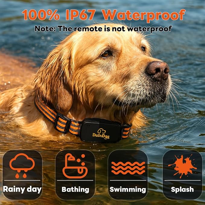 Adjustable Shock Levels Dog Training Collar with 9.8 FT Retractable Leash – Remote E-Collar for 2 Dogs, 3200 FT Range, Color Screen, Beep Vibration Static, IP67 Waterproof, USB-C Rechargeable